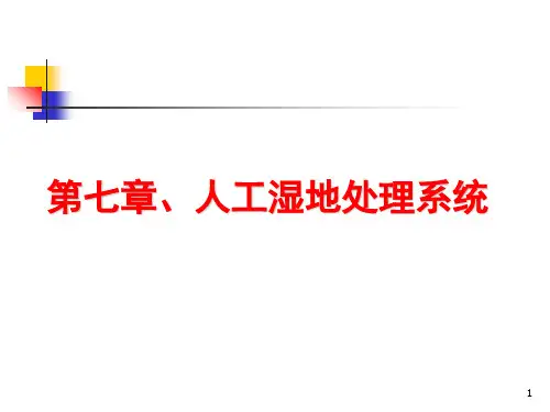 人工湿地处理系统PPT演示文稿