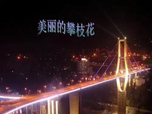 我的家乡-攀枝花ppt课件