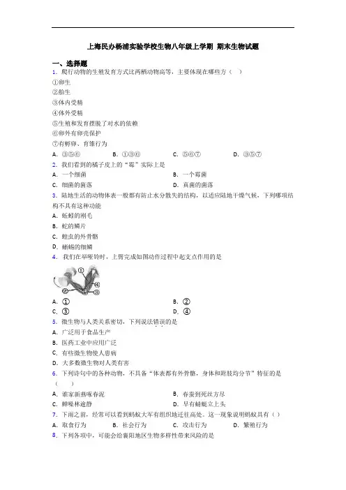 上海民办杨浦实验学校生物八年级上学期 期末生物试题