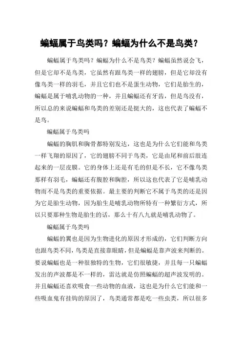 蝙蝠属于鸟类吗？蝙蝠为什么不是鸟类？
