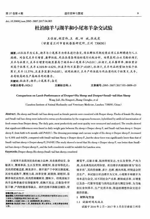 杜泊绵羊与湖羊和小尾寒羊杂交试验