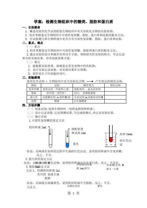 高一年级人教版生物必修一第二章：检测生物组织中的糖类、脂肪和蛋白质