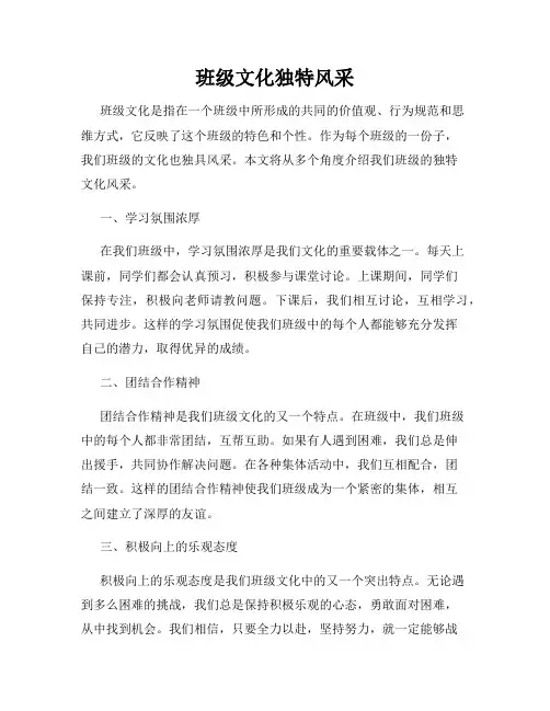 班级文化独特风采