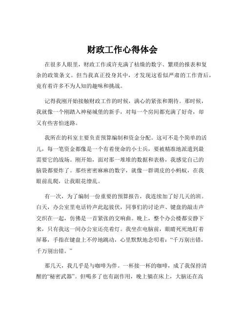 财政工作心得体会