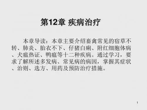 中兽医应用技术第12章 疾病治疗