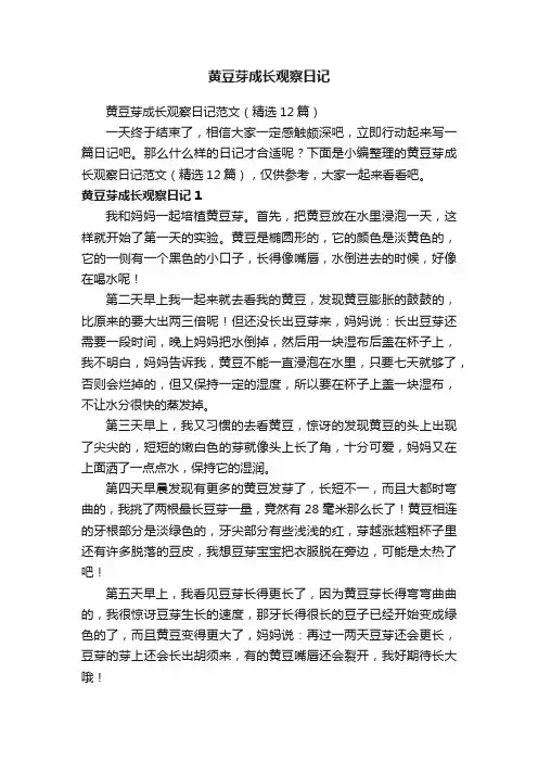 黄豆芽成长观察日记