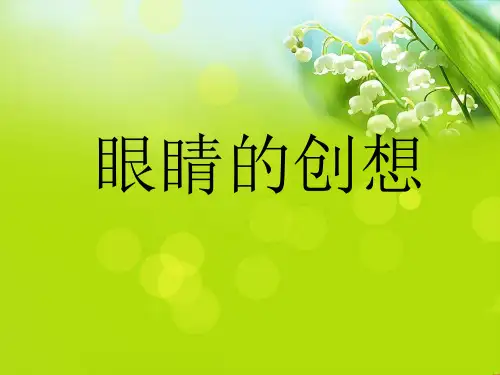 《眼睛的创想》课件