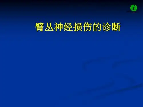 臂丛神经的解剖和损伤的诊断