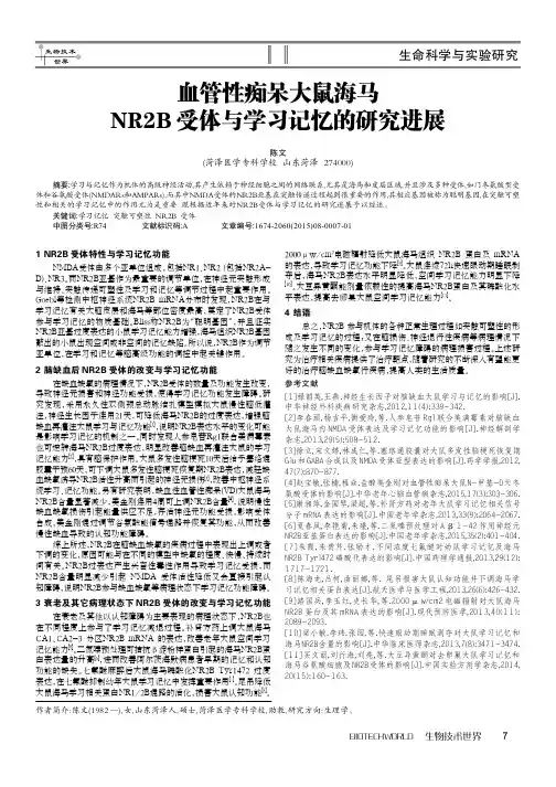 血管性痴呆大鼠海马NR2B受体与学习记忆的研究进展