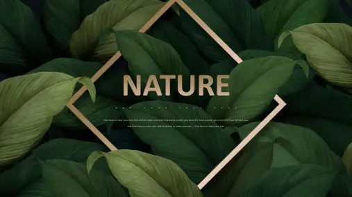 NATURE自然森系PPT模版