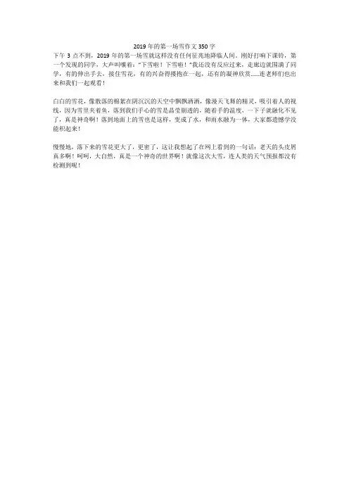 2019年的第一场雪作文350字