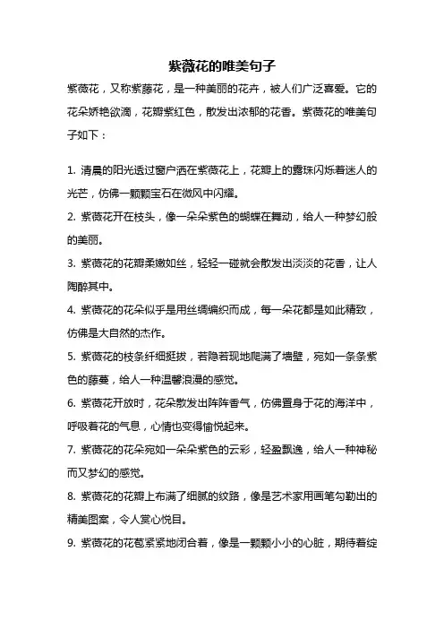 紫薇花的唯美句子