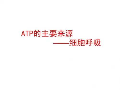 ATP的主要来源-细胞呼吸