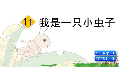 部编版二年级语文下册第11课《我是一只小虫子》精美课件