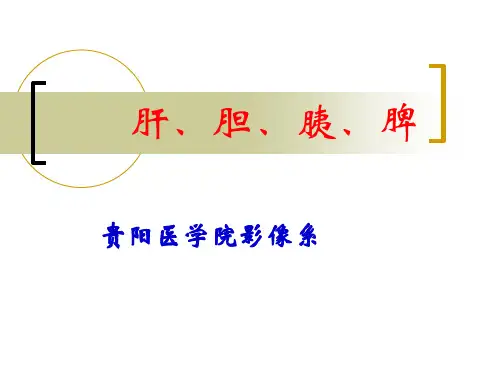 肝胆胰腺脾(消化系统)