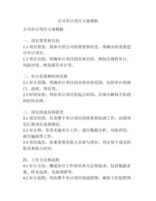 公司审计项目方案模板