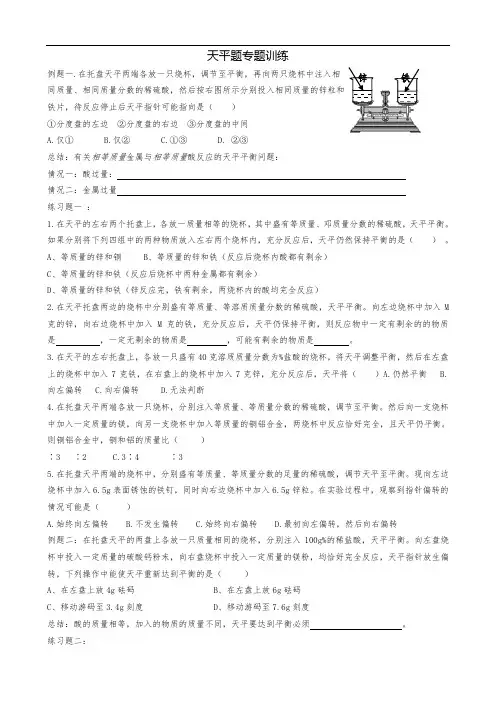 初三化学天平题专题训练