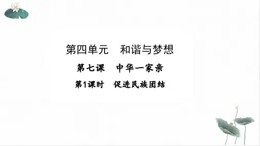 部编版课件_道德与法治九年级上册课件促进民族团结课件PPT优质完美课件1
