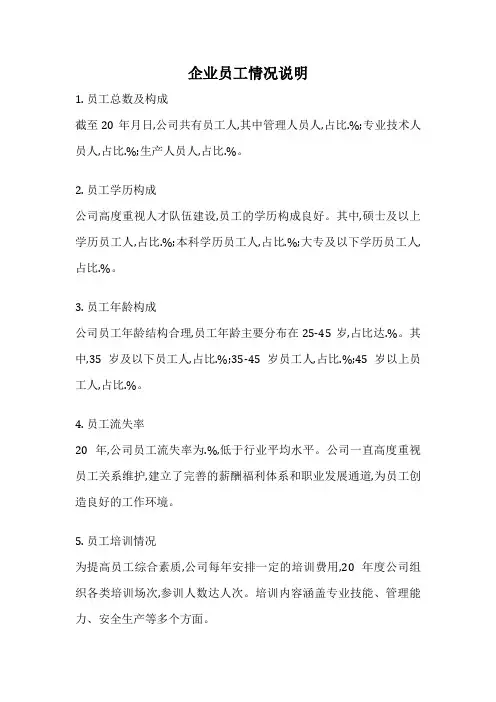 企业员工情况说明