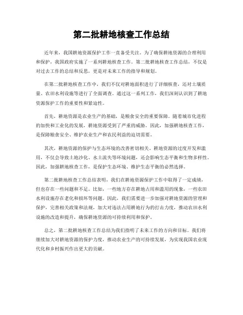 第二批耕地核查工作总结