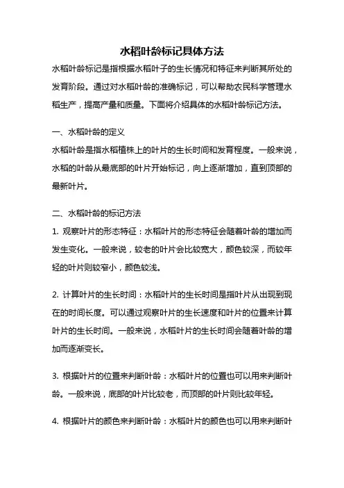 水稻叶龄标记具体方法