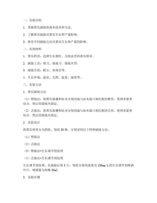 黄瓜插接实验报告