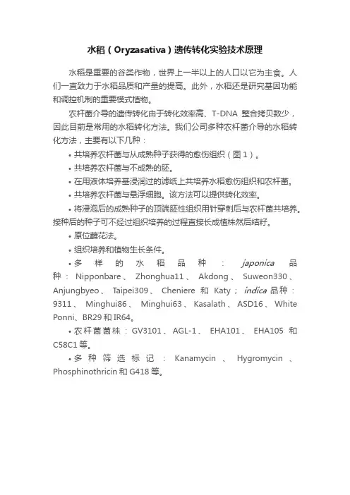 水稻（Oryzasativa）遗传转化实验技术原理