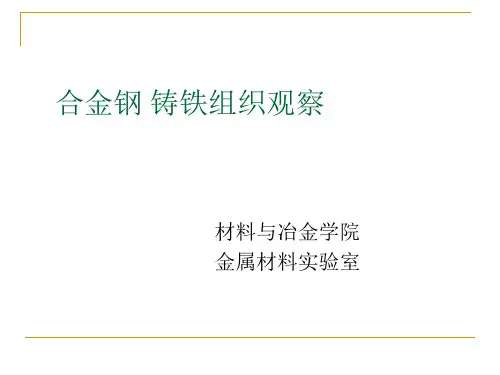 合金钢铸铁组织观察