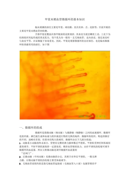 甲襞末梢血管微循环的基本知识