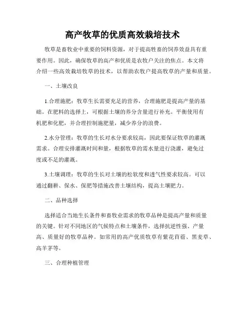 高产牧草的优质高效栽培技术