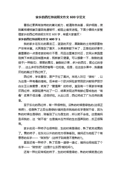 家乡的西红柿说明文作文600字范文