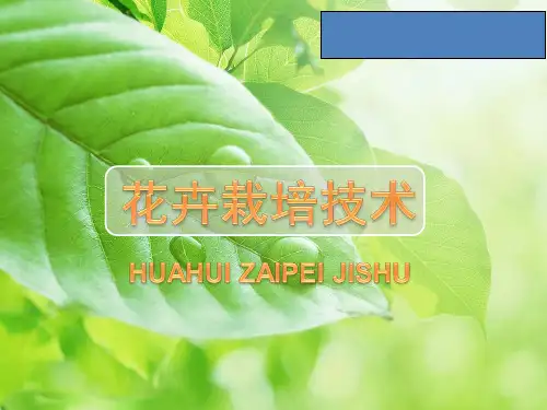 花卉栽培技术完整版教程全套ppt课件最全