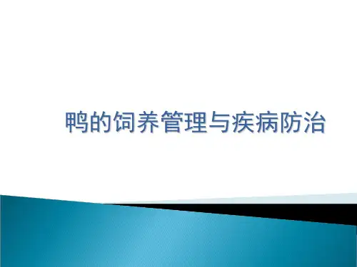 鸭的饲养管理和疾病防治[42页].ppt