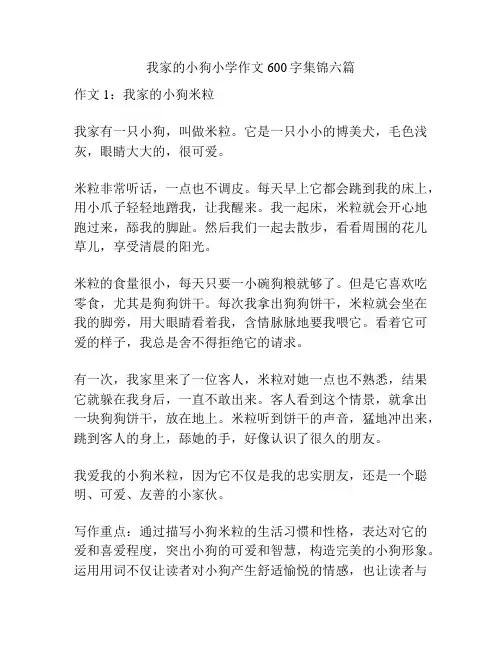 我家的小狗小学作文600字集锦六篇