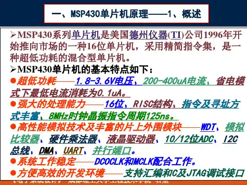 MSP430单片机及设计实例