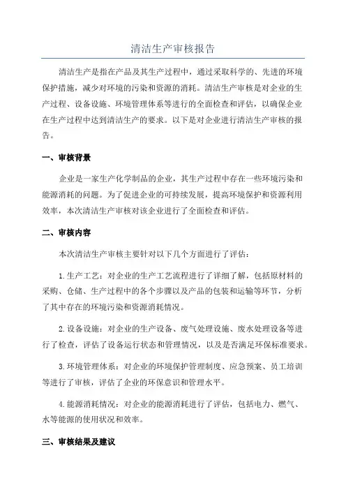 清洁生产审核报告