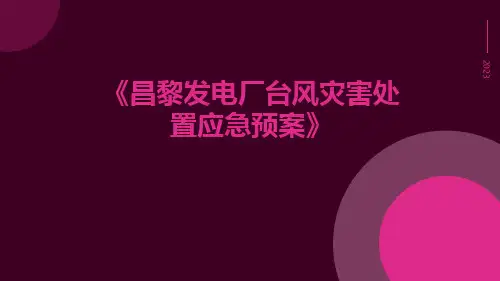 昌黎发电厂台风灾害处置应急预案