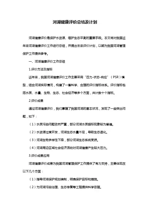 河湖健康评价总结及计划