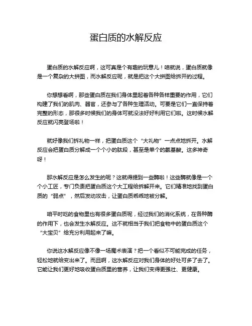 蛋白质的水解反应