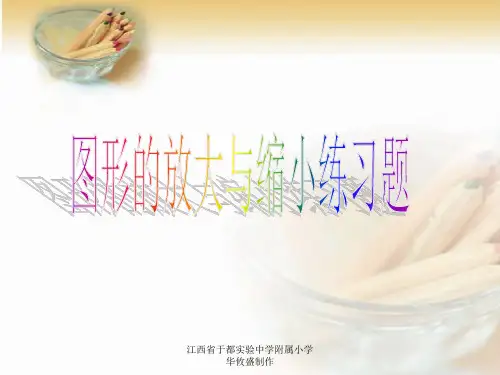 人教版六年级下册图形的放大与缩小练习题