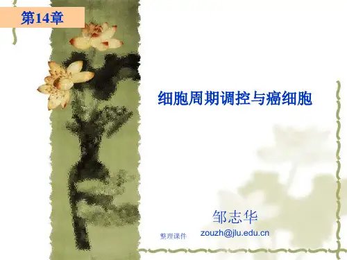 费晓方《细胞生物学》14ch14-细胞周期调控与癌细胞