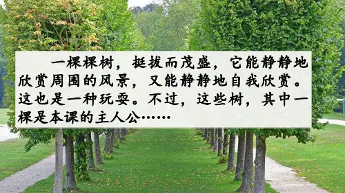 我变成了一棵树PPT课件完美版1