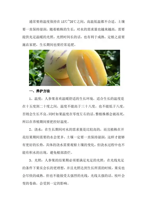 人参果的养殖方法和注意事项