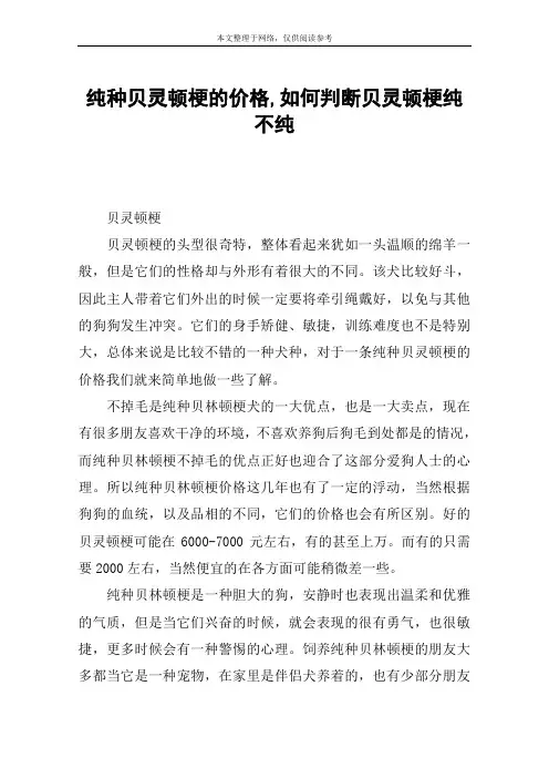 纯种贝灵顿梗的价格,如何判断贝灵顿梗纯不纯