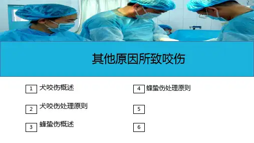 损伤病人的护理—咬伤病人的护理(护理课件)