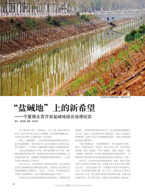 “盐碱地”上的新希望——宁夏银北百万亩盐碱地治理纪实