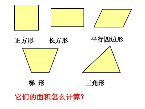 不规则图形面积的估算