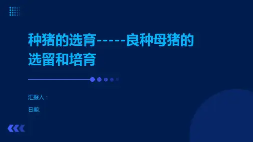 种猪的选育-----良种母猪的选留和培育