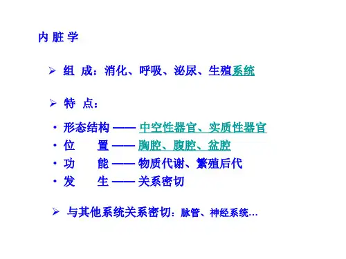 内脏学总论消化系统huang课件