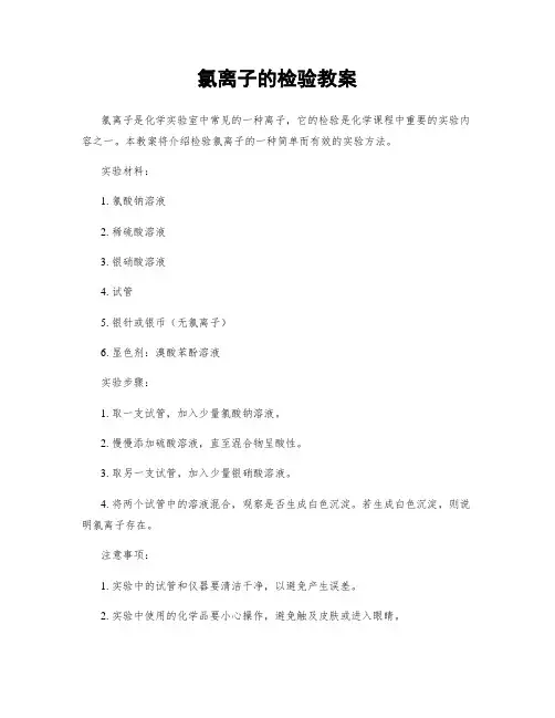 氯离子的检验教案